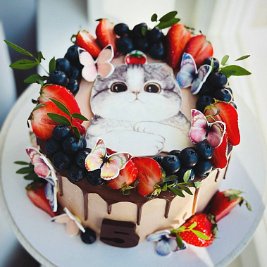 Торт "Котенок" купить - домодедово.сладкоежкин.рф